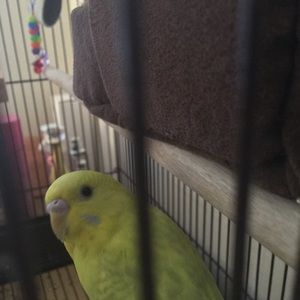 Meet your Posher, Elle